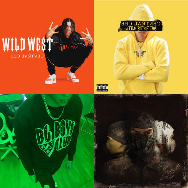 Central Cee all songs playlist by ka Spotify