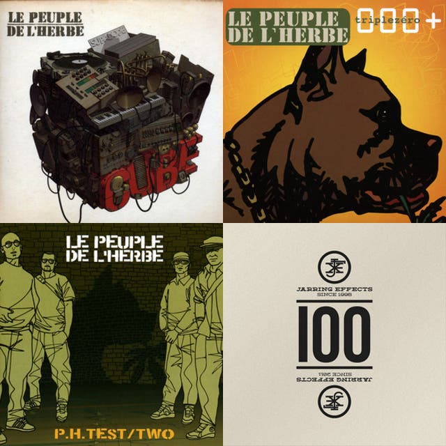 Dub/ Drum and Bass/ Reggae