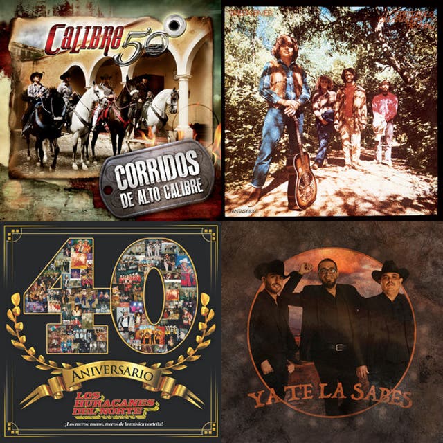PUROS CORRIDOS RANCHEROS - playlist by El ranchero cota 🤠 | Spotify