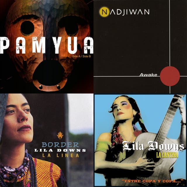 Native American Musicians You Should Know