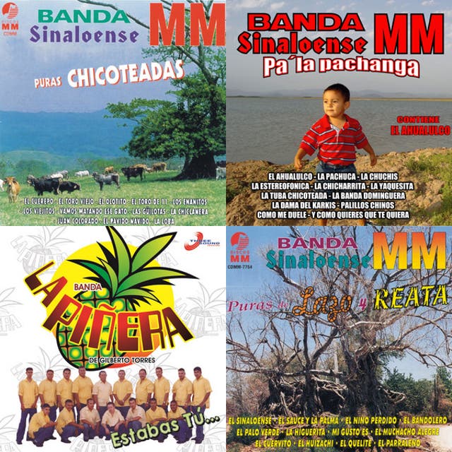 Banda MM Puras Instrumentales - playlist by Joel Danielle | Spotify