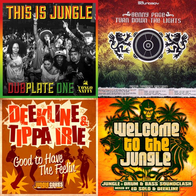 GYM JUNGLE DNB