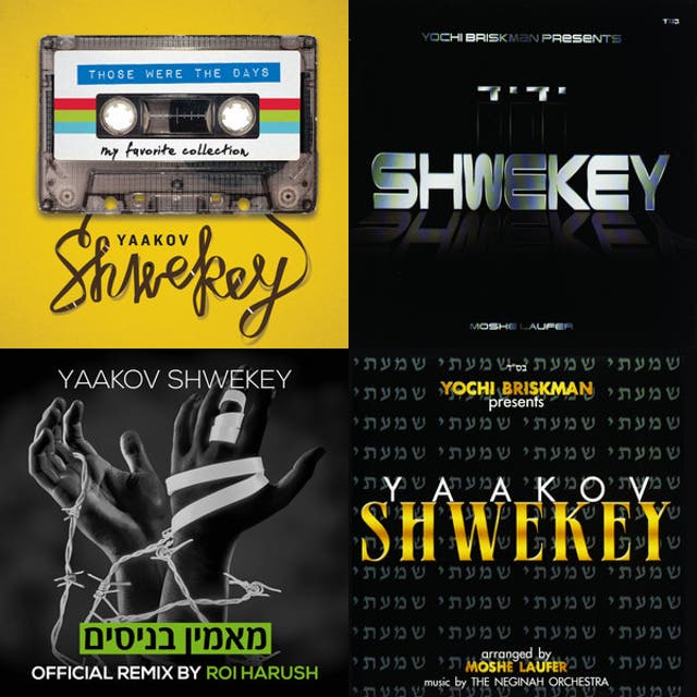 Best of Yaakov Shwekey - playlist by Yaakov Shwekey | Spotify