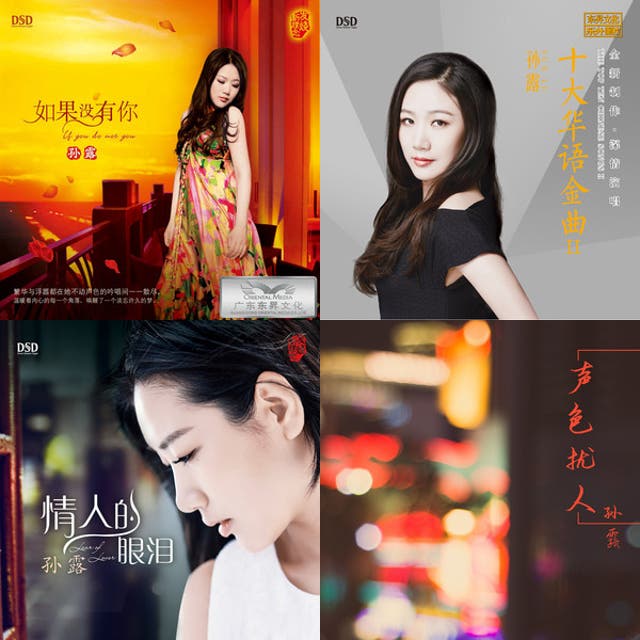 Best of Sun Lu - (孙露) - playlist by alfian_amin73 | Spotify
