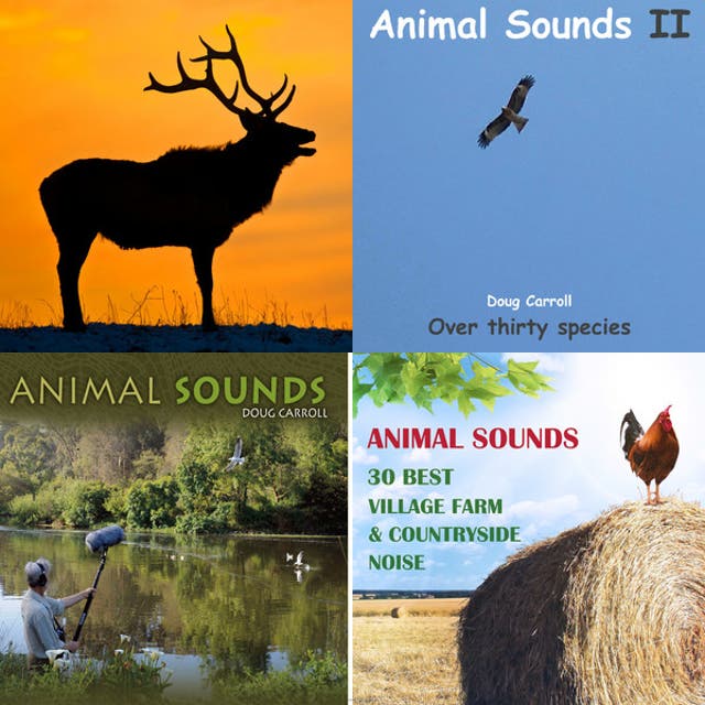 Animal Sounds Quiz