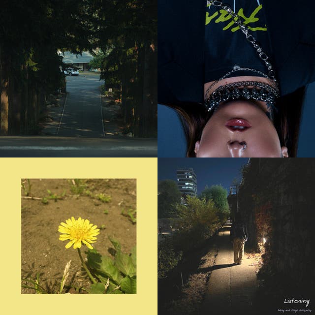Pages Wimy Playlist By Lillian Park Spotify