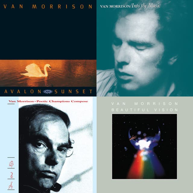 Orangefield - playlist by Mitchkok | Spotify