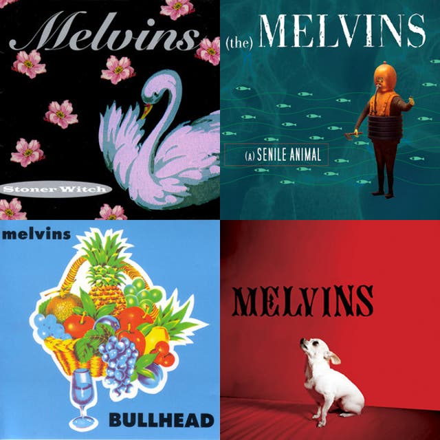 Cover of Rob’s playlist Melvins show