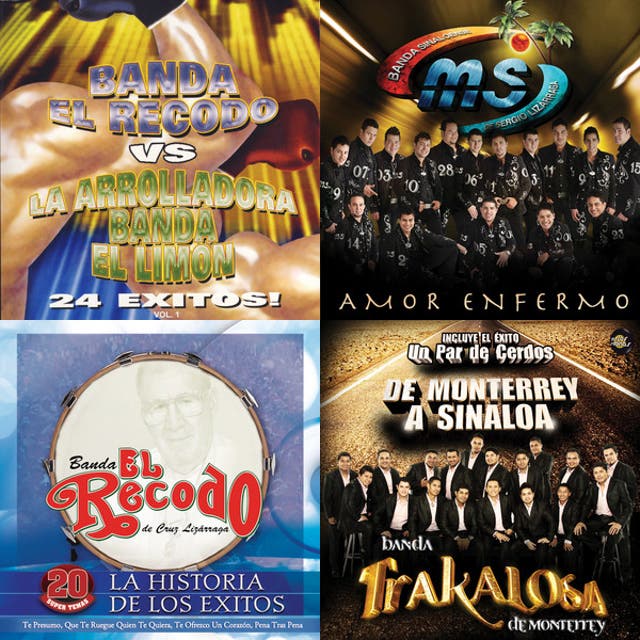 BANDA PARA BODA Boda playlist cover