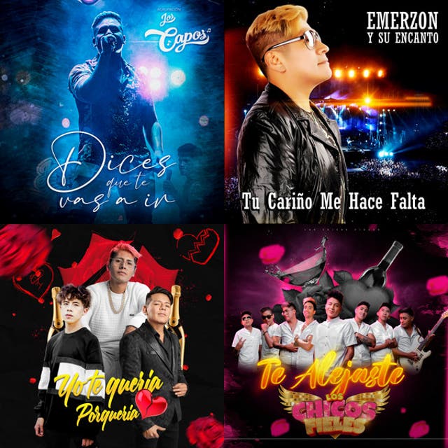 Cumbia sureña variada