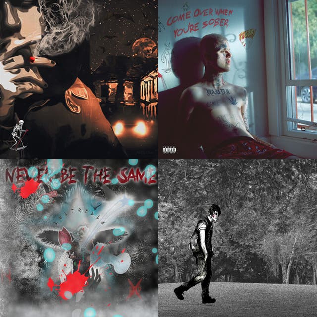 Is there an ALTERNATIVE ?? cover