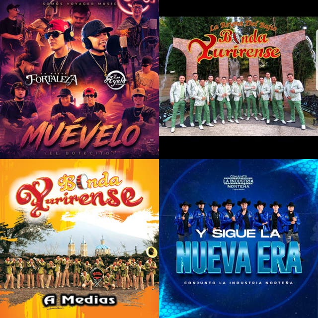 Banda Guanajuatense