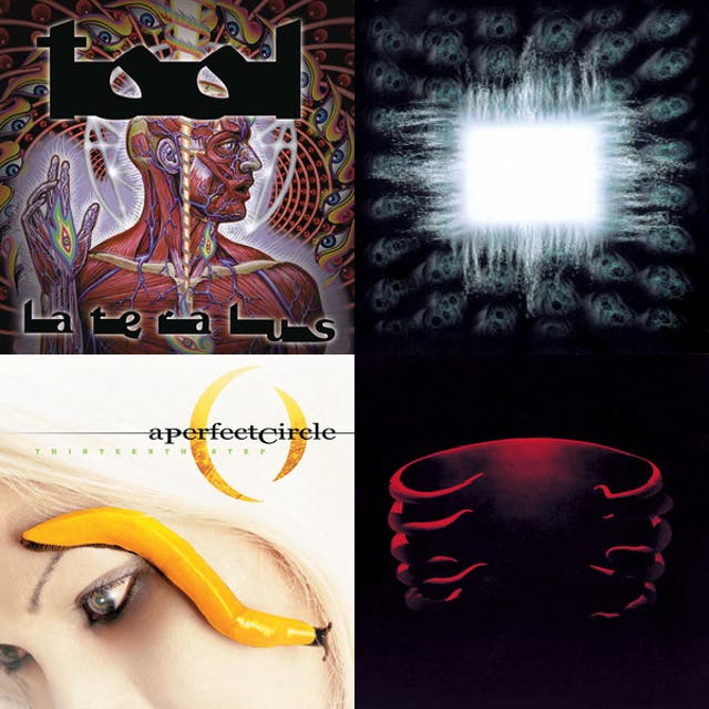 Best tool playlist ever made in the history of tool image