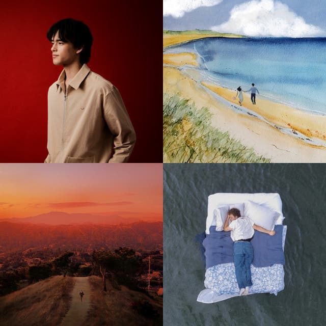 you can say that I am a fool 🦭 - playlist by sharnyaa | Spotify