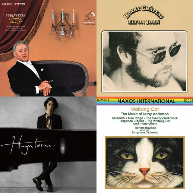 角野隼斗が猫と一緒に聴きたい曲