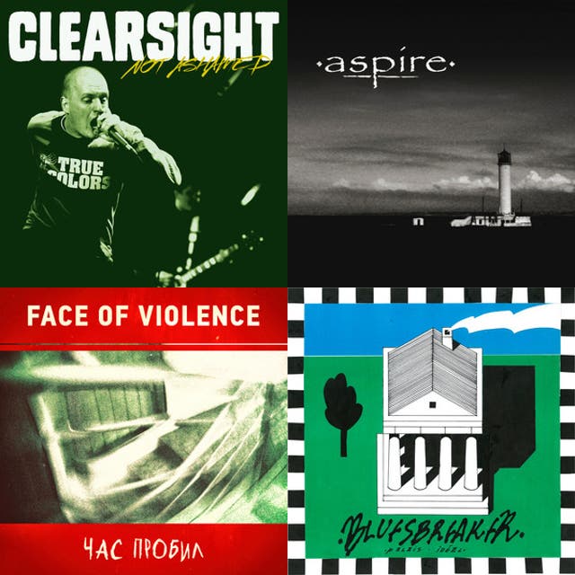 Обкладинка плейліста Український панк і хардкор / Ukrainian punk and hardcore