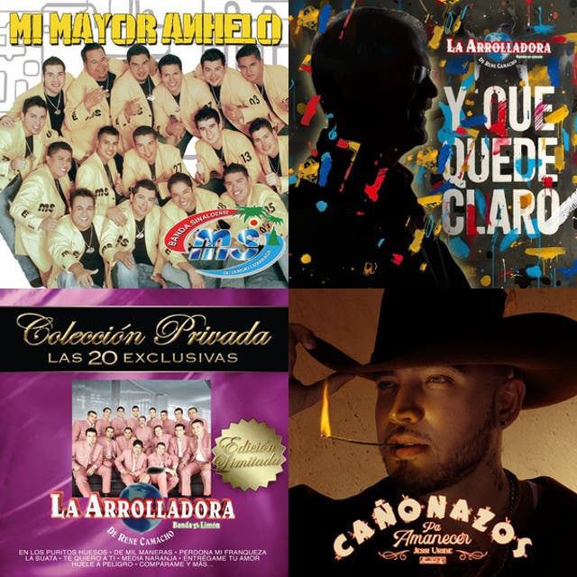 Banda Viejitas pero llegadoras Spotify playlist cover art