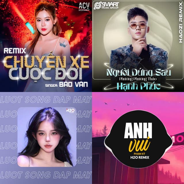 Người Đứng Sau Hạnh Phúc (Haozi Remix)