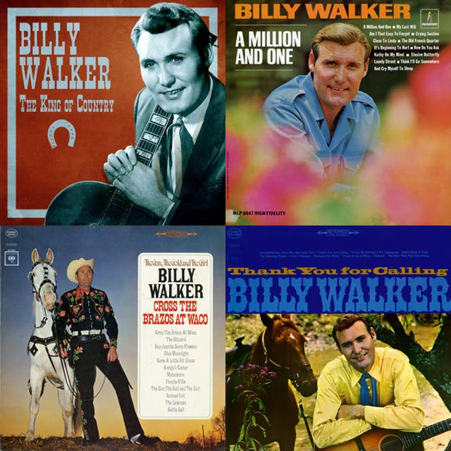 Imagem de Billy Walker
