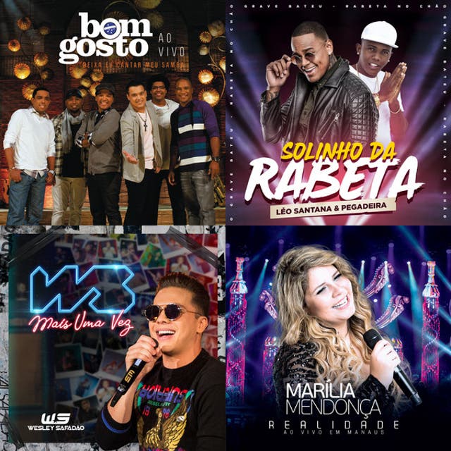 mix-pagode-e-sertanejo-playlist-by-kalinkaketzer-spotify