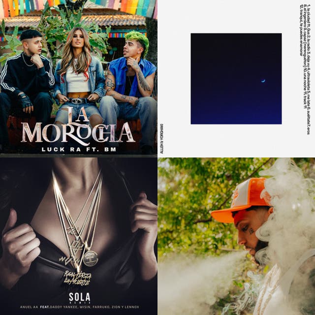 Post verbena 2025 - playlist by aleemerinooo | Spotify