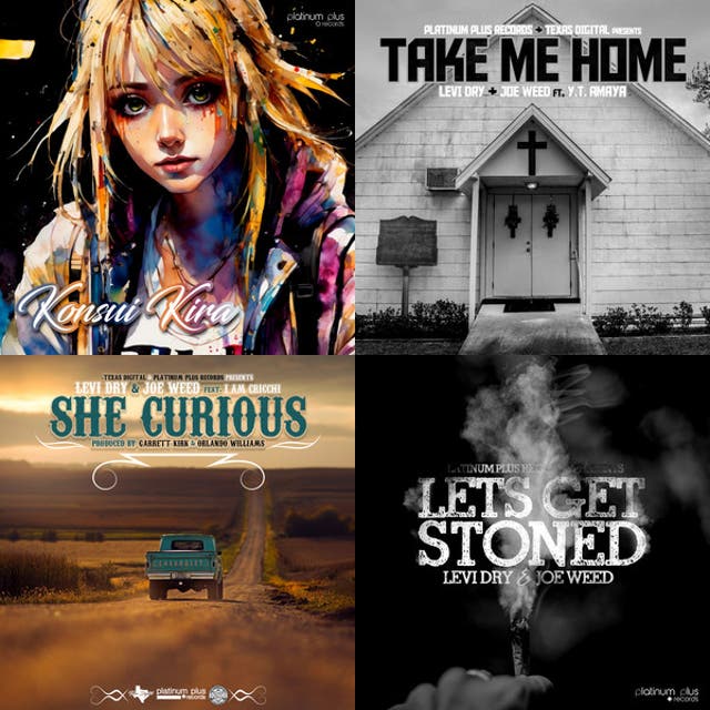 PLATINUM PLUS PRODUCTIONS - playlist by Country Club Radio | Spotify
