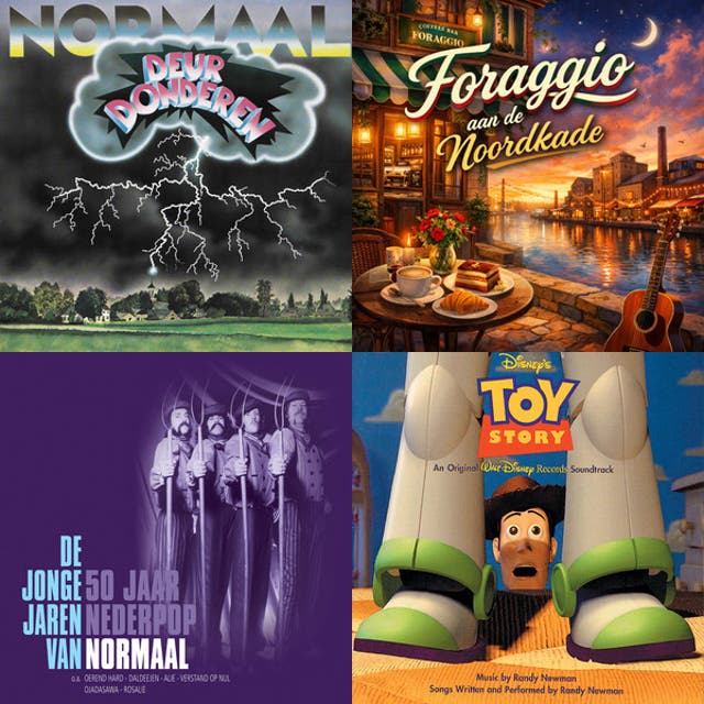 Ideaal QRSong playlist