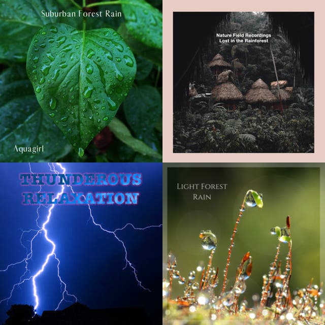 Binaural Nature Playlist By Marcelohanones Spotify