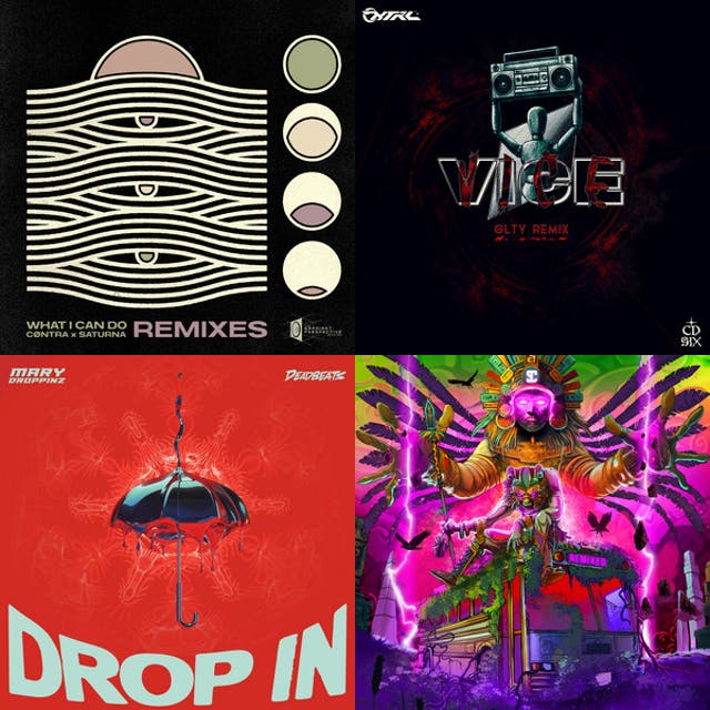 Organic Dubstep Electronic Wook Bass