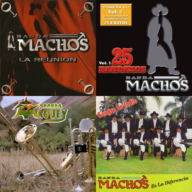 BANDAS PARA BAILAR🤠MIX QUEBRA🐎TECNO BANDADITA🐴CUMBIAS CON BANDA🍻PARA AMANECER BAILANDO💃TODO DE BANDA Banda playlist cover