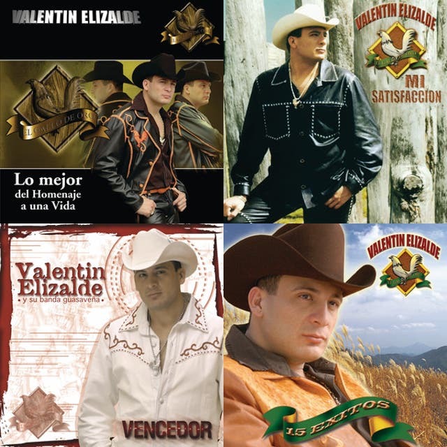 valent-n-elizalde-vete-ya-playlist-by-ckristianleon-spotify