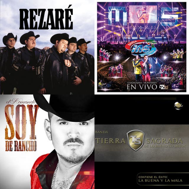 Ranchero Music 🇲🇽 - playlist by 12174173218 | Spotify