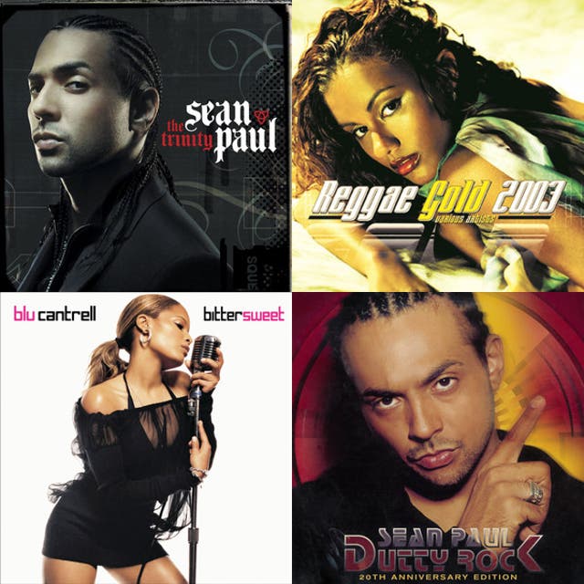 Imagem de Sean Paul