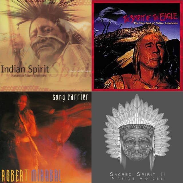 Indiánská hudba - playlist by Ondra | Spotify