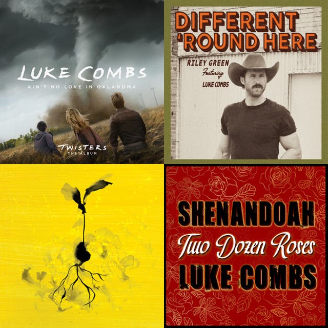 Luke Combs greatest hits - playlist by Maxy Tolks | Spotify