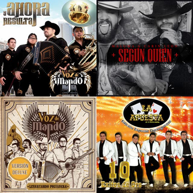 Banda/baladas/rancheras - playlist by Villegascd | Spotify