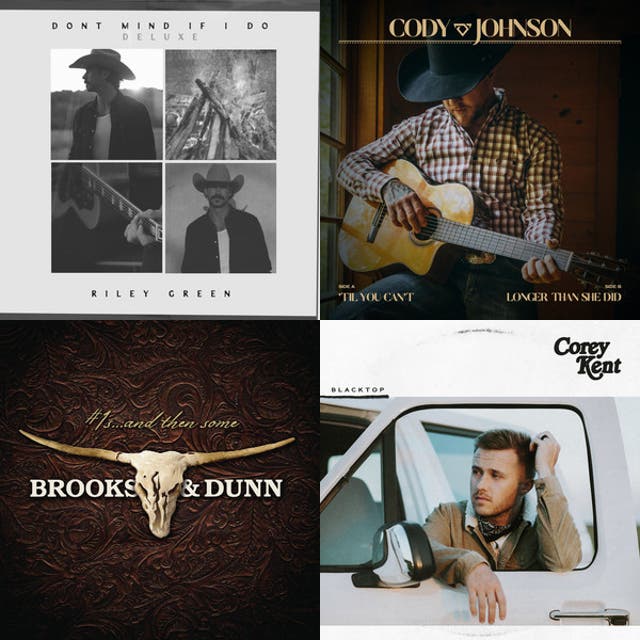 Country Music 🎸🎶🇨🇱 playlist cover