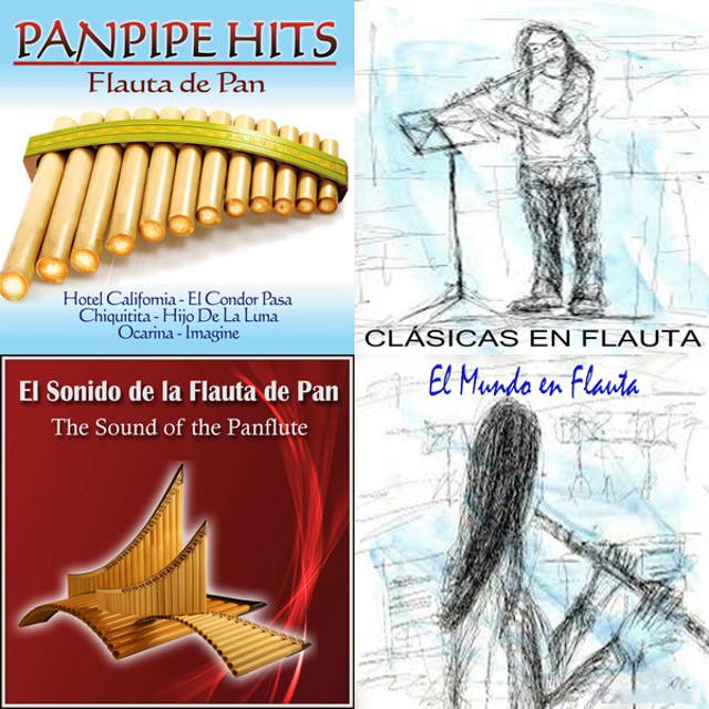 FLAUTAS MAGICAS BAND playlist by Lorenzo Spotify