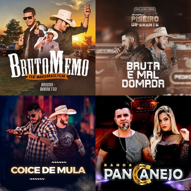 Imagem de Coice de Mula