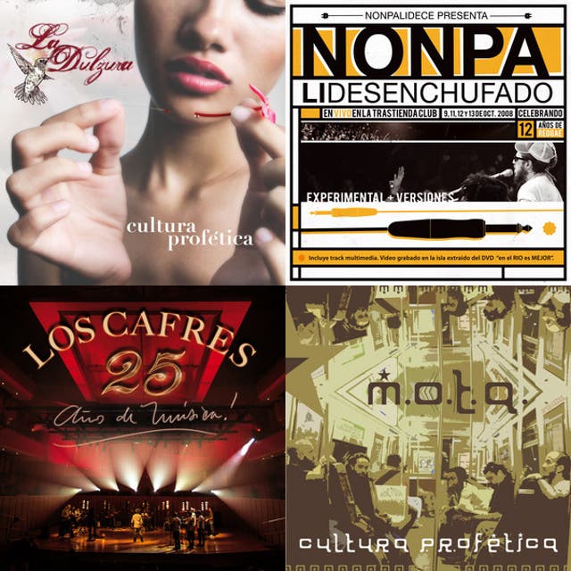 ROOTS ESPAÑOL - playlist by Javier Valerio | Spotify