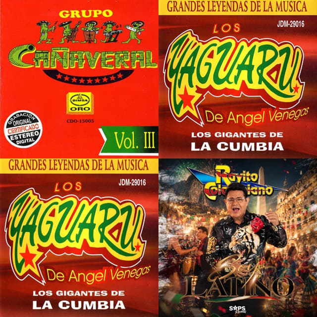 Cumbias: Cañaveral, Yaguaru, Ángeles Azules, Angeles de Charly, Rayito Colombiano, Aaron y su Grupo Cumbia playlist cover