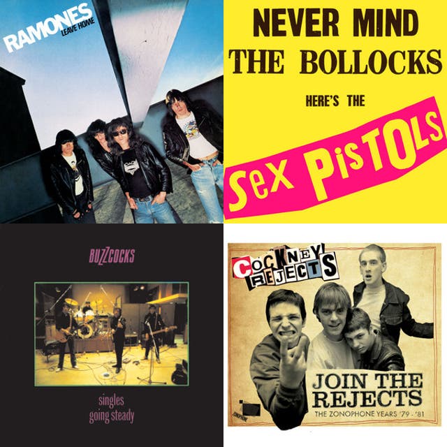 Coverbilde for Punkster
