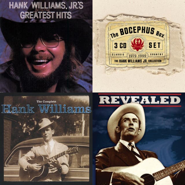 Hank Williams, Jr. - A Country Boy Can Survive - playlist by Travis ...