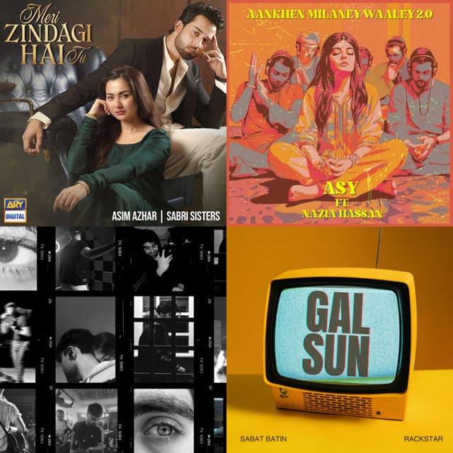 Finding Pakistani songs 🇵🇰 - playlist by Finding good songs 🎵 | Spotify