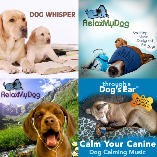 through a dog's ear spotify