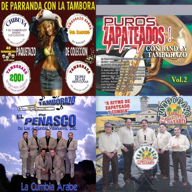 Tamborazo artists, music and albums Chosic