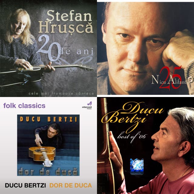 Muzica Folk On Spotify