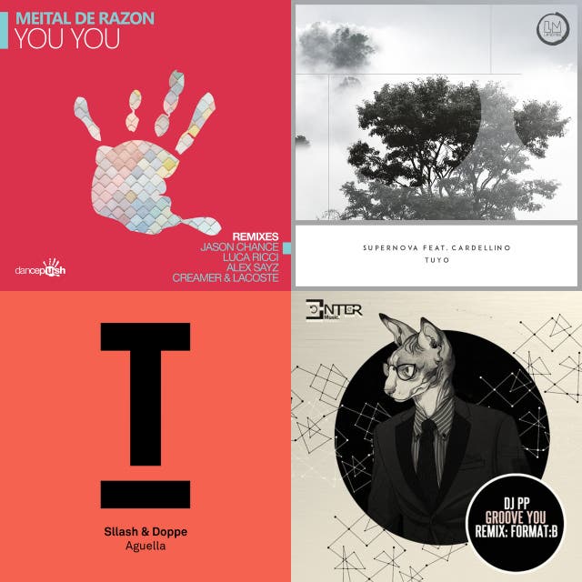 Funky Tech House artists, music and albums Chosic