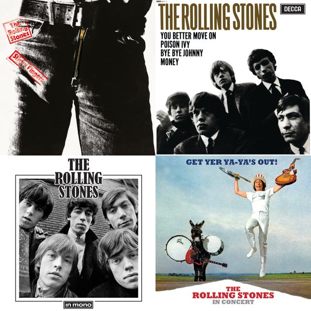 The Rolling Stones Wild Horses Karaoke