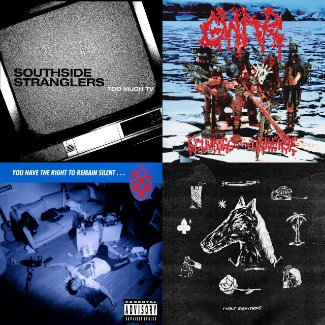 Virginia Punk artists, songs, decades and similar genres Chosic